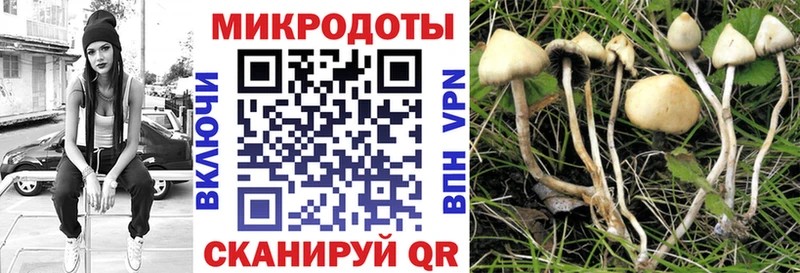MEGA tor Яранск Галлюциногенные грибы мухоморы закладки