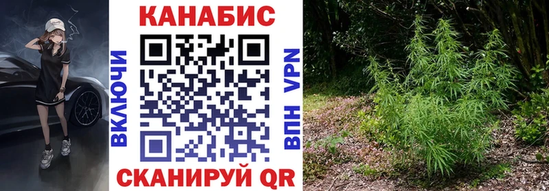 где найти наркотики  mega ССЫЛКА  МАРИХУАНА AK-47  Яранск 